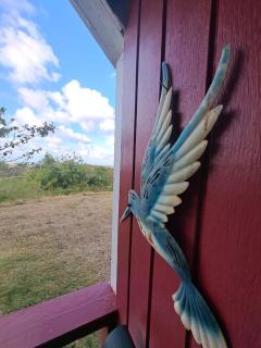 WEst Cottage - Osbourn - 4