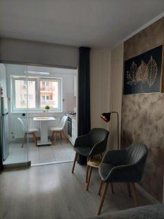 PALADIS Studio - Free Parking - Bucharest - 6
