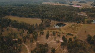 Vineyard Cabin - Hunter Valley - Lucia - 3