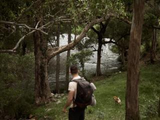 Secluded Off-Grid Cabin Valley View - Pet Friendly - Sufjan - Rawdon Vale - 5