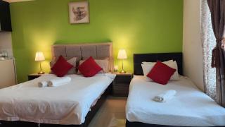 The Viana Apartment 2 - 0