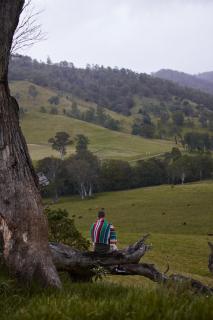 Secluded Off-Grid Cabin - Pet Friendly - Roscoe - Rawdon Vale - 3