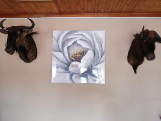 Royal guest lodge - Middelburg - 7