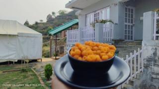Khaltaal Resort - Nandaprayāg - 4