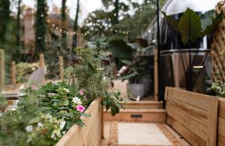 Cozy Lakefront Airstream - Private Deck and Firepit - Sleeps 6 - Smyrna - 8