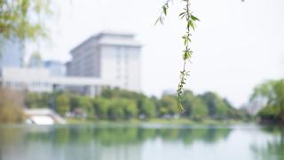 InterContinental Hefei by IHG - Hefei - 2