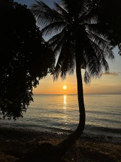 Johans Chalet - Isola di Tioman - 9