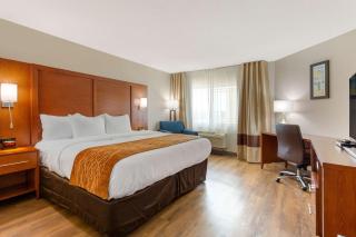 Comfort Inn & Suites - Milford - 3
