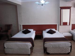 Elite Plus Family Hotel Old City - Istanbul - 4