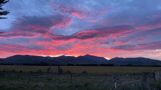 Harakeke House - Fairlie - 2