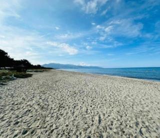 studio bords de mer - Borgo - 9