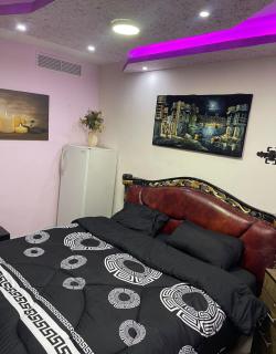 Falcon Real Estate - 5