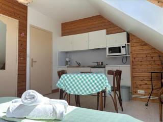 Charmante studette au calme avec terrasse et parking - Auguaise - 8