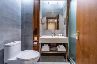 ibis Styles Shanghai Zhangjiang - Shanghai - 2