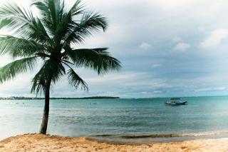 Earl's Red Passikudah - 8