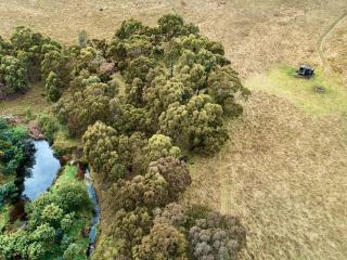 Off-Grid Cabin Nestled in Nature - Pet Friendly - Ottessa - 1