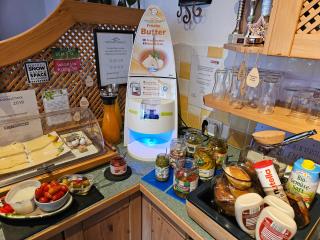 Oberauer Wagrain - Die Eco Familien Hotelpension B&B - Wagrain - 7