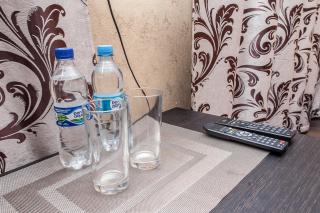 Chyhorinskyi Hotel - Kyiv - 6