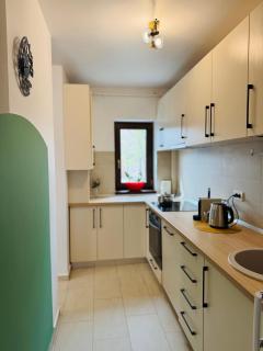 Aslau Rentals - Timişoara - 1