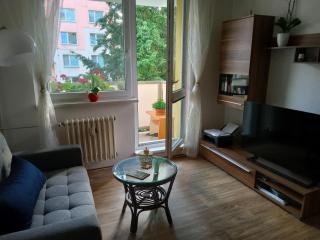 Malý byt v centru ZR - 3