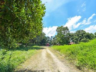 OYO 90640 D'village River & Cafe Chalet - Kuala Tahan - 6