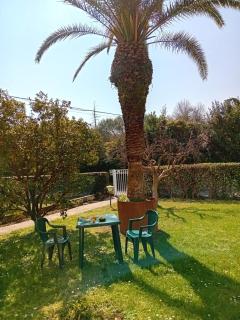 villetta le palme - Toscolano-Maderno - 9