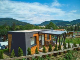 Natura Fina Resort - Ravne na Koroškem - 4