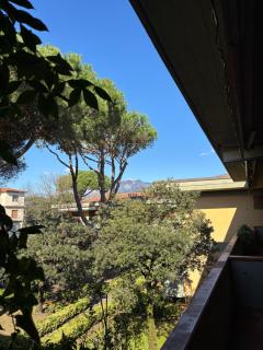Sea and Mountains Apartment - Marina di Massa - 9