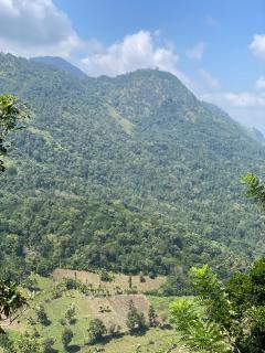 Relax Mountain Guest Inn Badulla - Badulla - 8