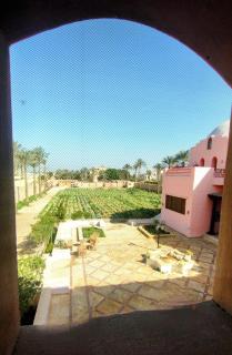 Alf Layla Resort - Il Cairo - 5