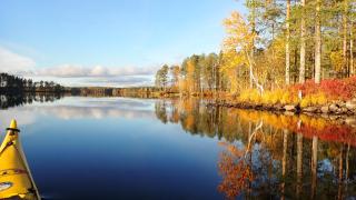 Wilderness Cabin on a Private Island - Jyrkkä - 7