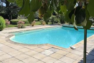 Maubourguet Villa - Sleeps 10 - Pool & Games - Maubourguet - 8