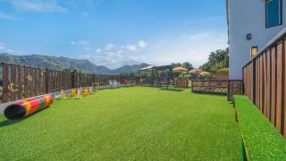 gapyeong beilli pet pool villa pension - 3