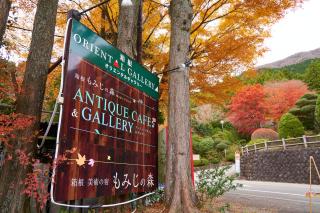 美術の宿 箱根もみじの森 - 5