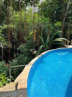 Budget Room at Bamboo Osing Banyuwangi - Tamansuruh - 6