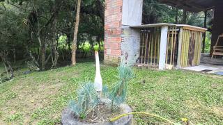 Recanto dos lagos - Mandirituba - 5