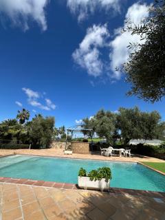 La Algazara - 5