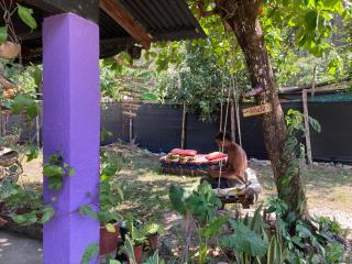 Passiflora Backpackers Samara - Sámara - 1