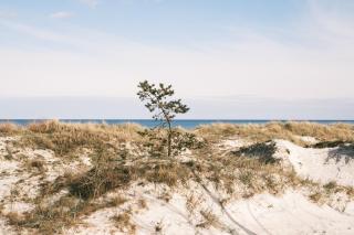 Eco Beach Camp - Neksø - 8