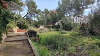 Nature lovers home - Oropesa del Mar - 4