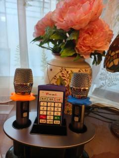 British Country Inn B&B - Luodong - 9