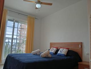 C Veneziola A 2J Admer - 2