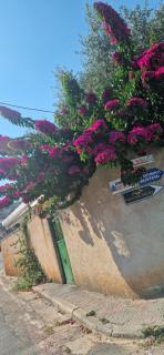 Flor apartment - Paskuqan - 3