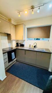 Euston one bedroom apartment - London - 7