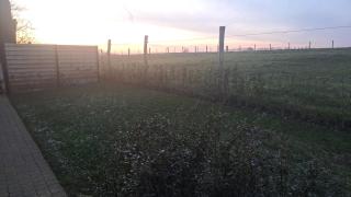 De Hipshoek - Poperinge - 7