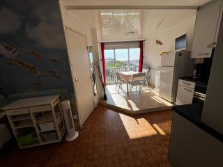 Studio 5/6 Personnes avec Piscine et WIFI - FR-1-784-40 - Gruissan - 3