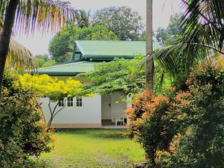 Serene Lush Holiday Home - 8