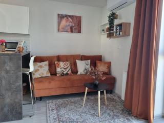 Apartament Rudy Zakątek w Centrum Bydgoszczy - Bydgoszcz - 5
