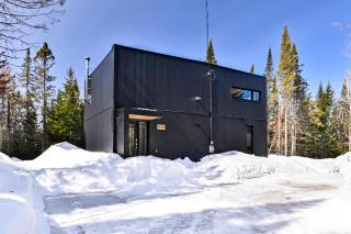 Chillwood - Sauna & Cold Plunge - Hammock Beds - 6