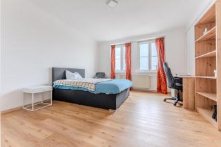Krems Apartment Bahnhofplatz - Krems an der Donau - 7